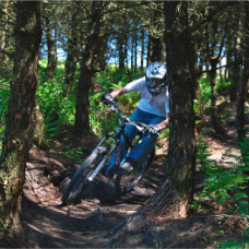 Joel Harratt - 07515360572